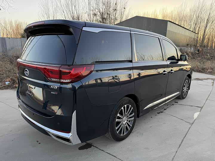 Фото 4 - GAC Trumpchi M8