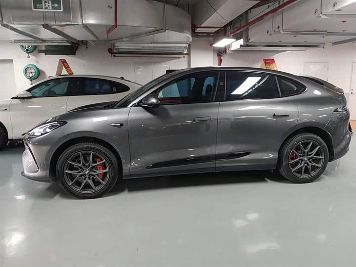 Фото 5 - IM motors LS6