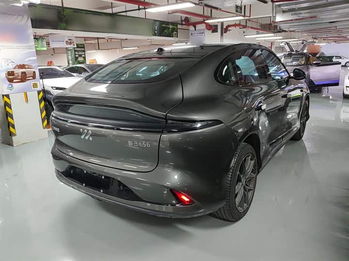 Фото 7 - IM motors LS6