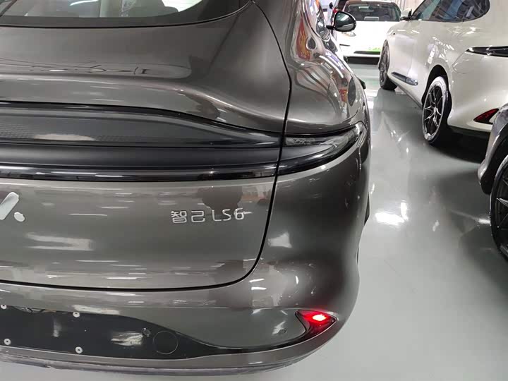 Фото 8 - IM motors LS6