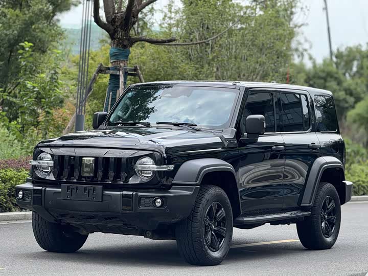 Фото 1 - Tank 300