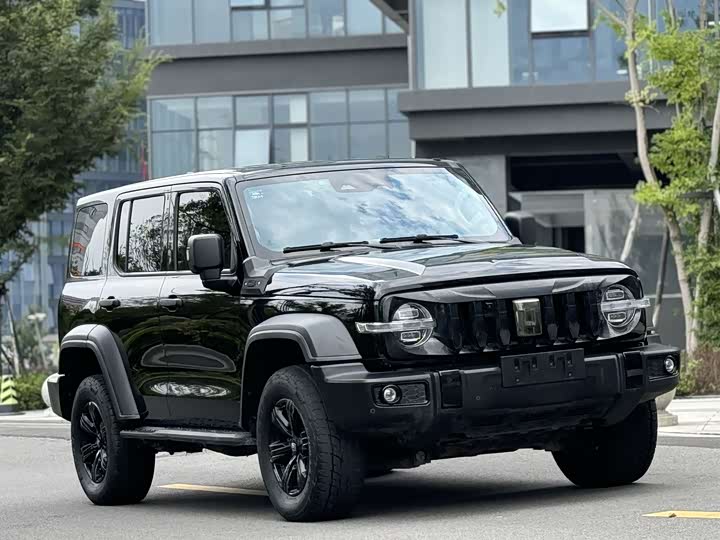 Фото 3 - Tank 300