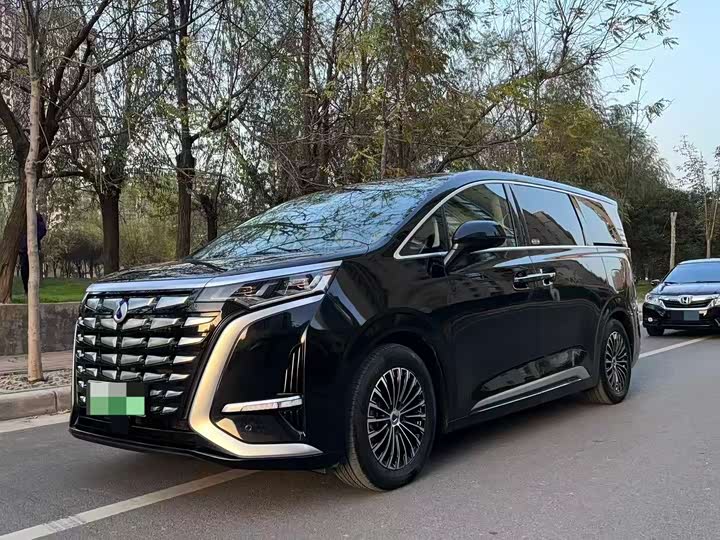 Фото 1 - Denza D9