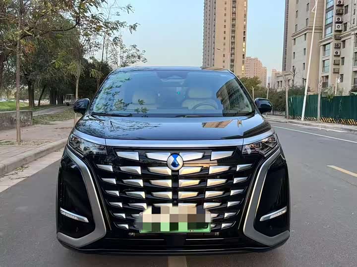 Фото 2 - Denza D9