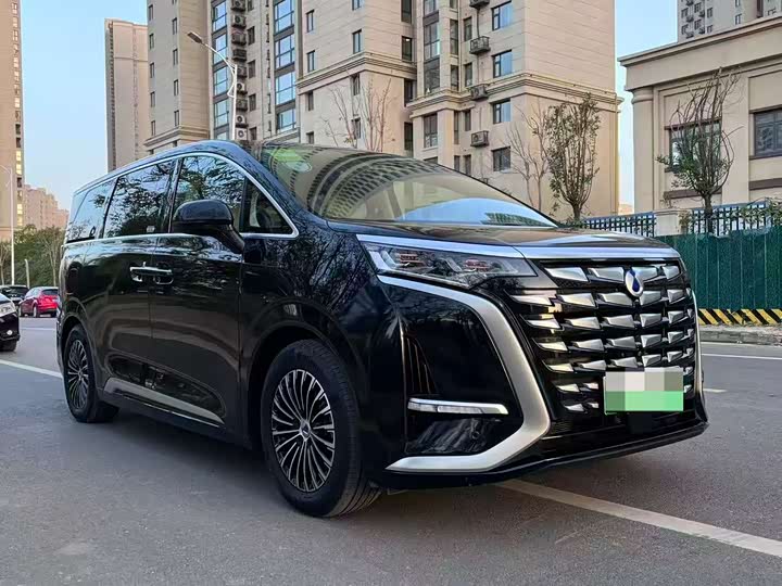 Фото 3 - Denza D9