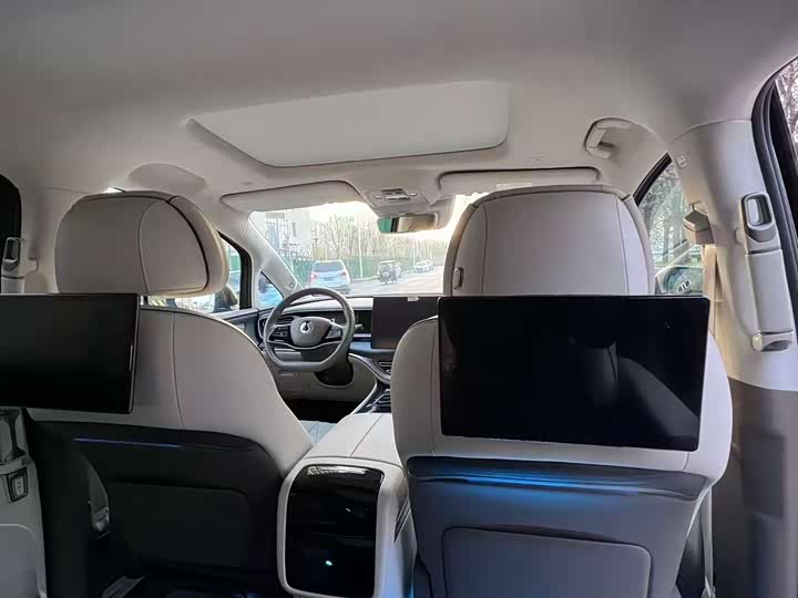 Фото 4 - Denza D9