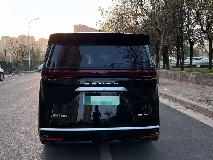 Фото 8 - Denza D9