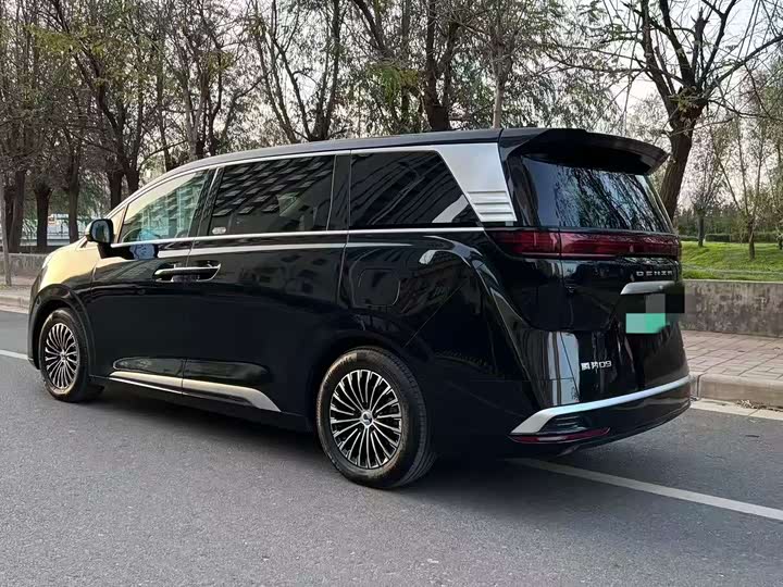 Фото 9 - Denza D9