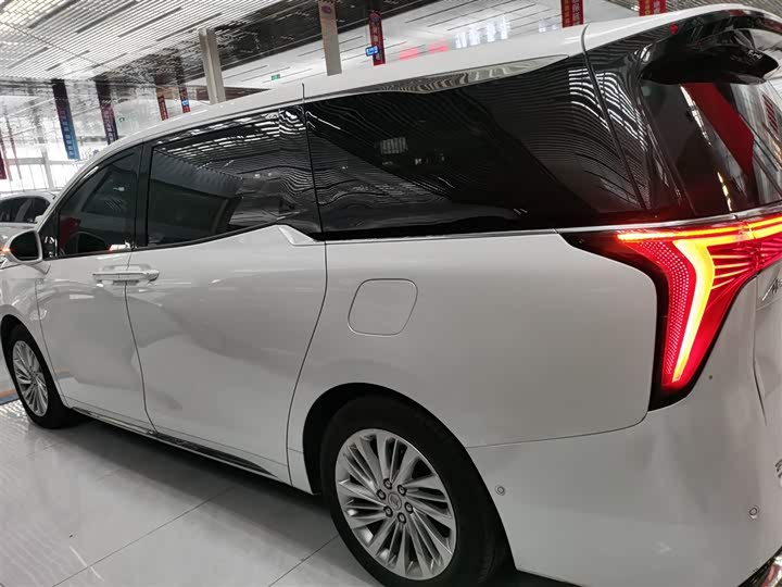 Фото 5 - Buick GL8 Century