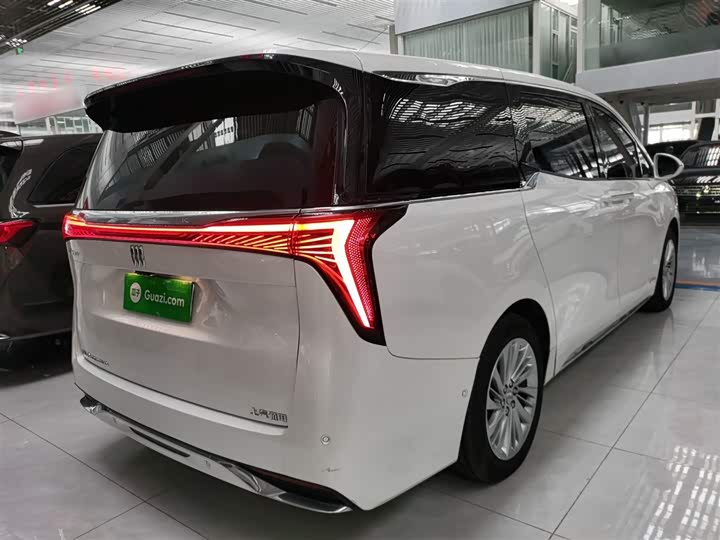 Фото 7 - Buick GL8 Century