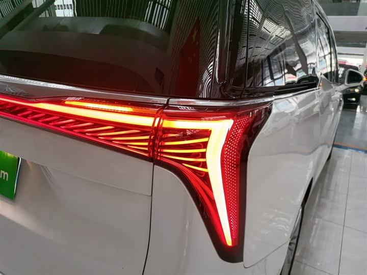 Фото 8 - Buick GL8 Century