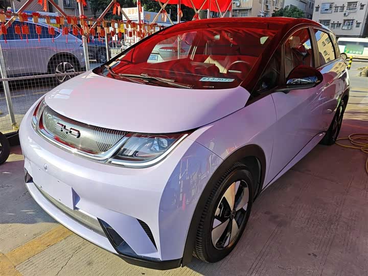 Фото 2 - BYD Dolphin