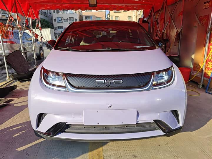 Фото 3 - BYD Dolphin