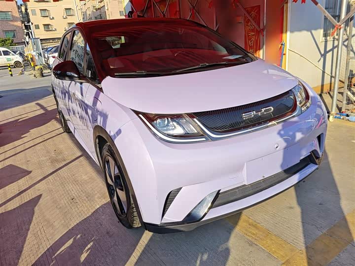 Фото 4 - BYD Dolphin