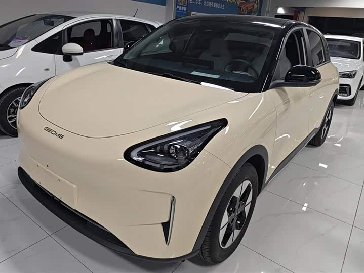 Фото 1 - Geely Galaxy Geome