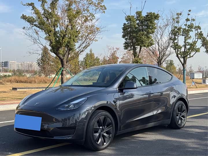 Фото 1 - Tesla Model Y