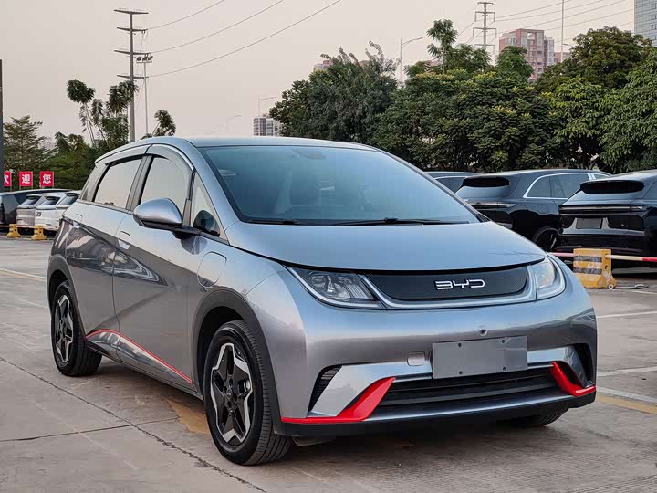 Фото 4 - BYD Dolphin