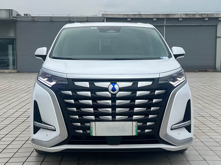 Фото 2 - Denza D9