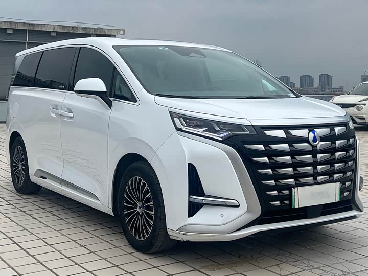 Фото 3 - Denza D9