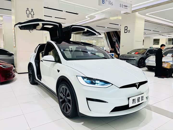 Фото 2 - Tesla Model X
