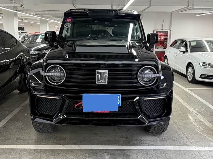 Фото 2 - Tank 300