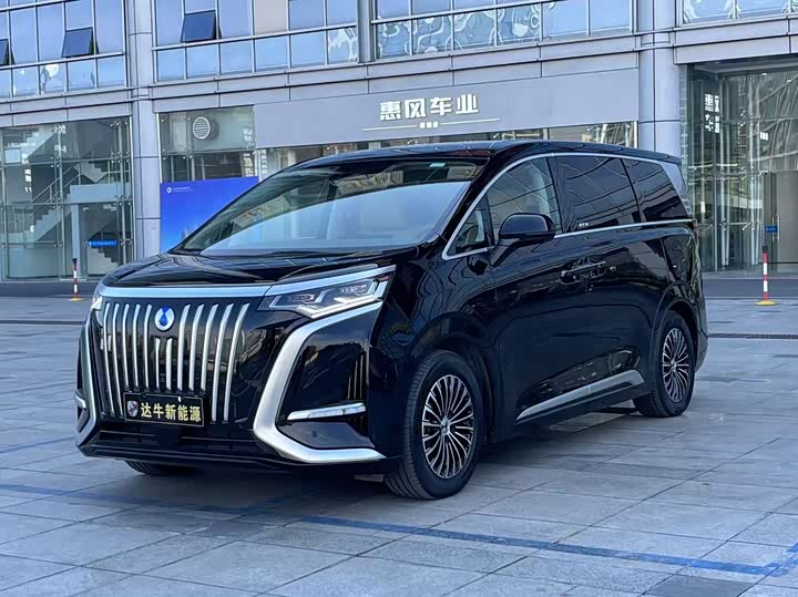 Фото 1 - Denza D9