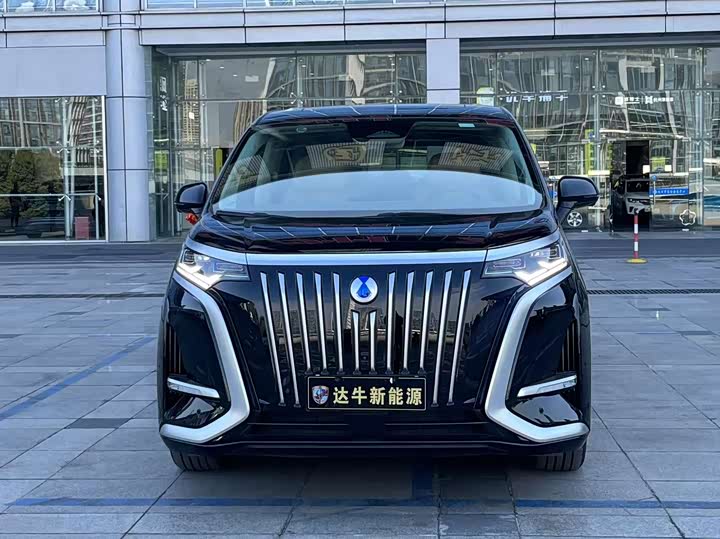 Фото 2 - Denza D9