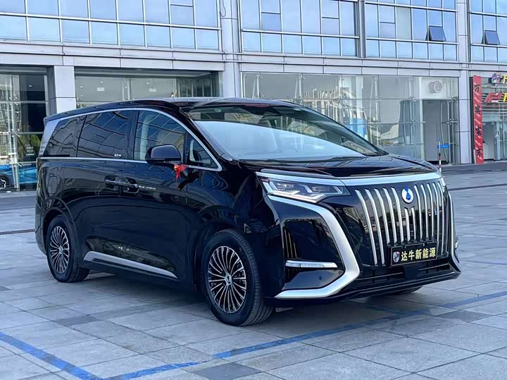 Фото 3 - Denza D9