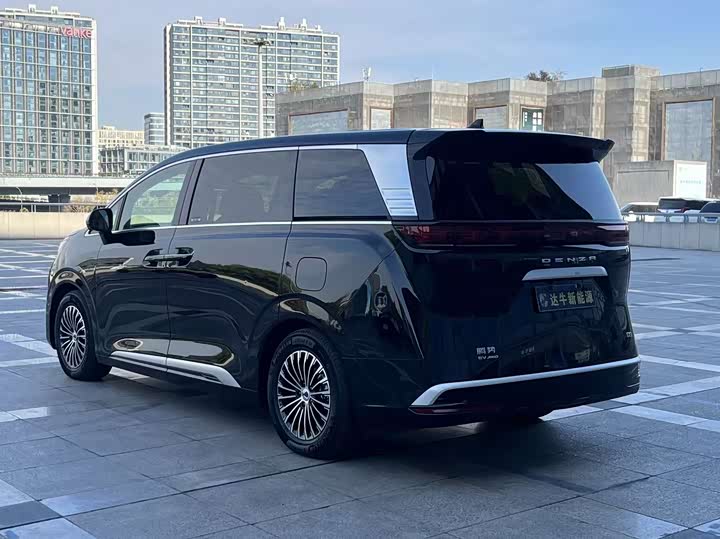 Фото 4 - Denza D9