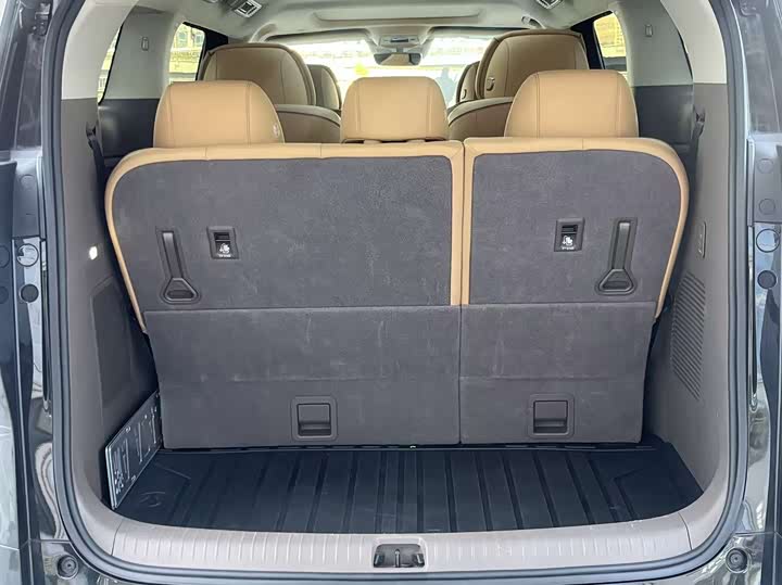 Фото 9 - Denza D9