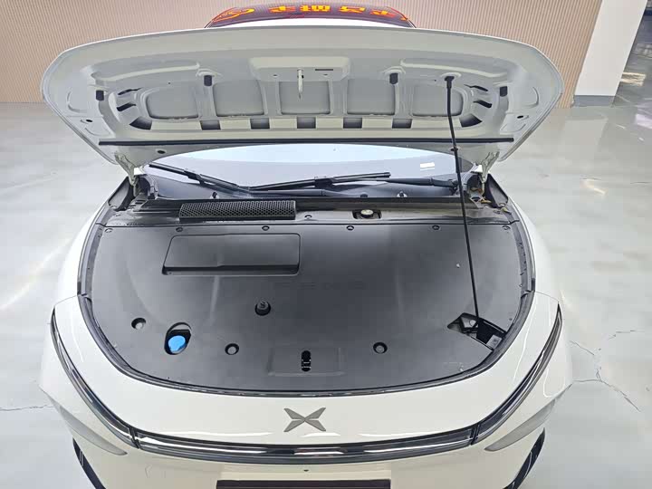 Фото 6 - XPeng F57