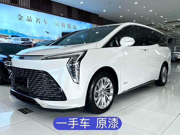 Фото 1 - Buick GL8 Century