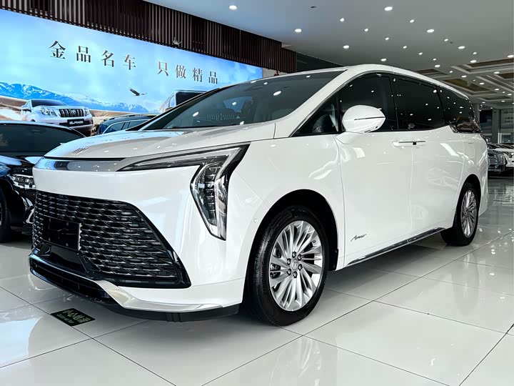 Фото 2 - Buick GL8 Century