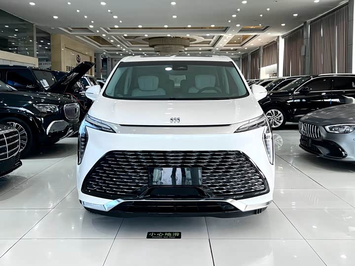 Фото 3 - Buick GL8 Century