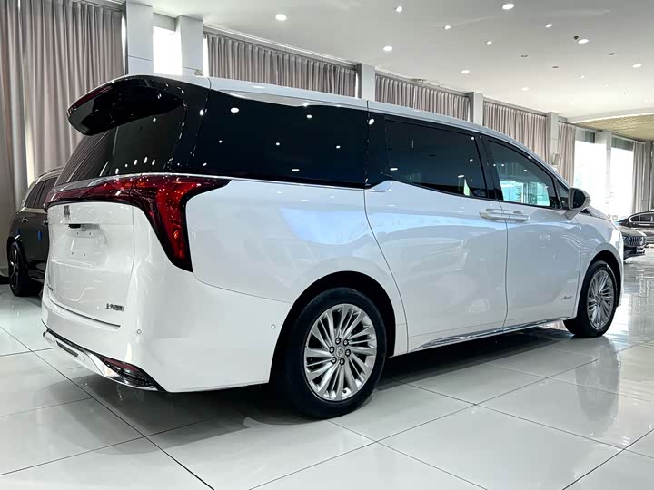 Фото 4 - Buick GL8 Century