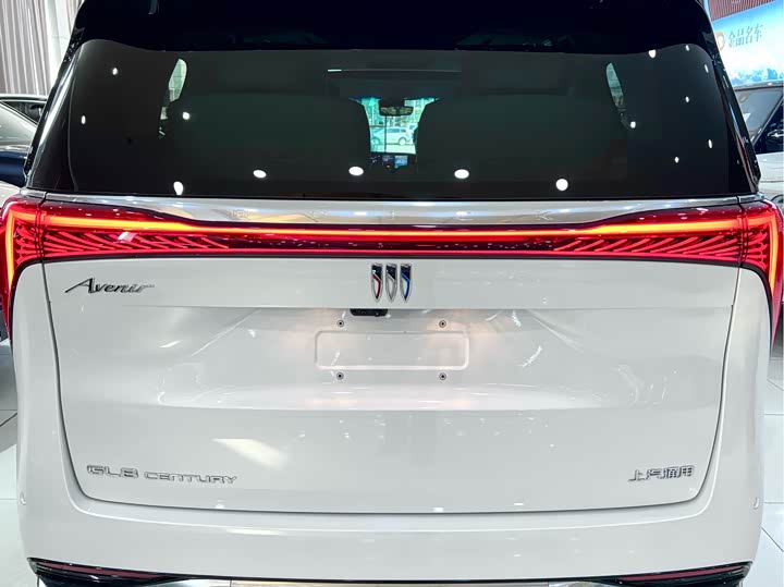 Фото 5 - Buick GL8 Century