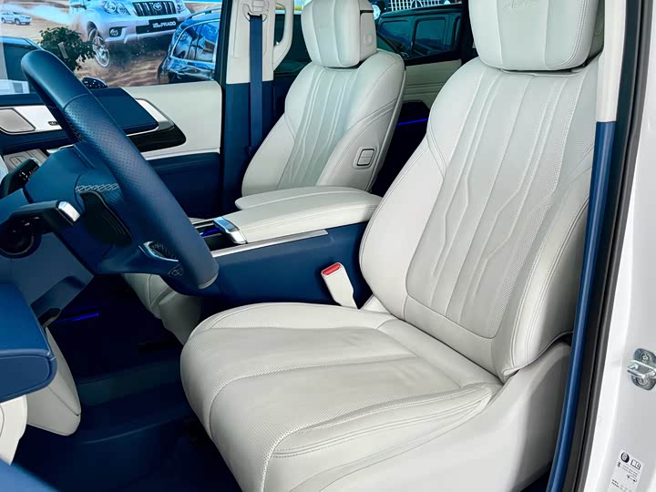 Фото 6 - Buick GL8 Century