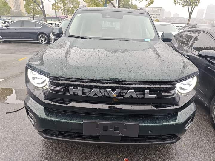 Фото 3 - Haval H-Dog Hybrid