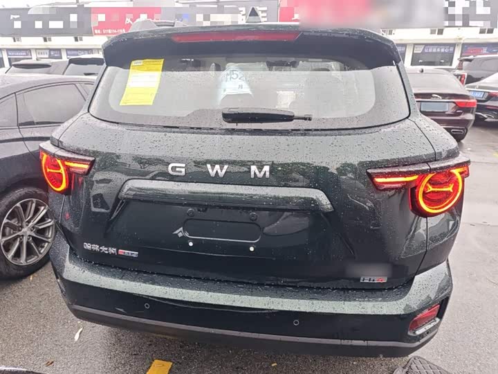 Фото 6 - Haval H-Dog Hybrid