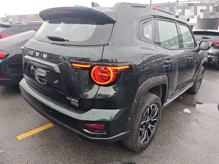 Фото 7 - Haval H-Dog Hybrid