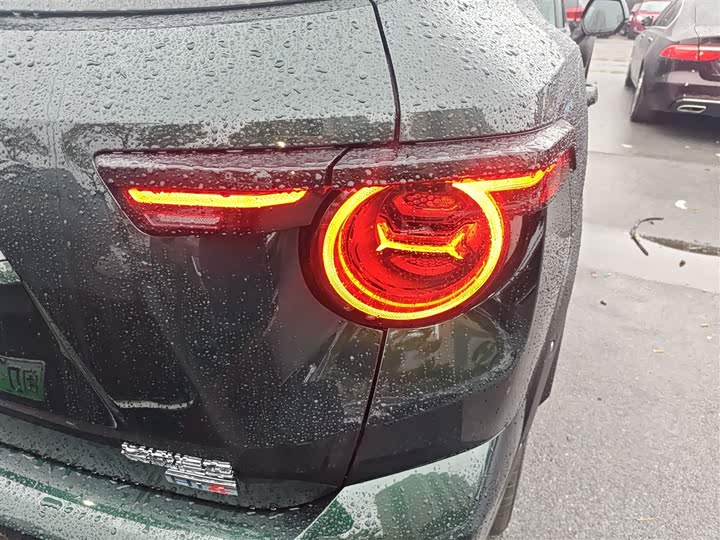 Фото 8 - Haval H-Dog Hybrid