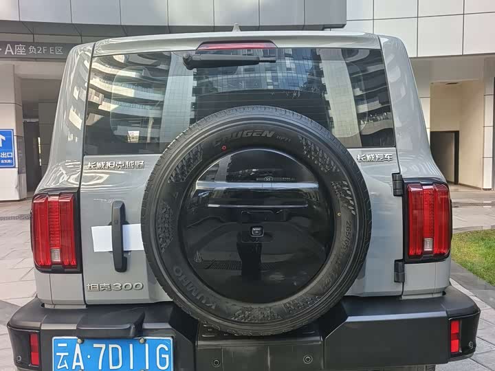 Фото 4 - Tank 300