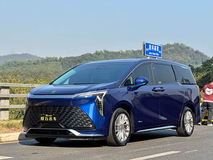 Фото 7 - Buick GL8 Century