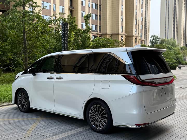 Фото 6 - Lexus LM