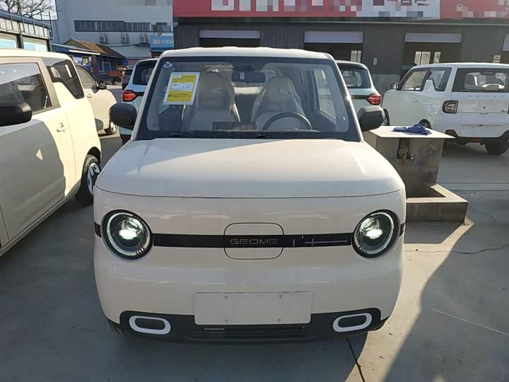Фото 3 - Geely Galaxy Panda Mini