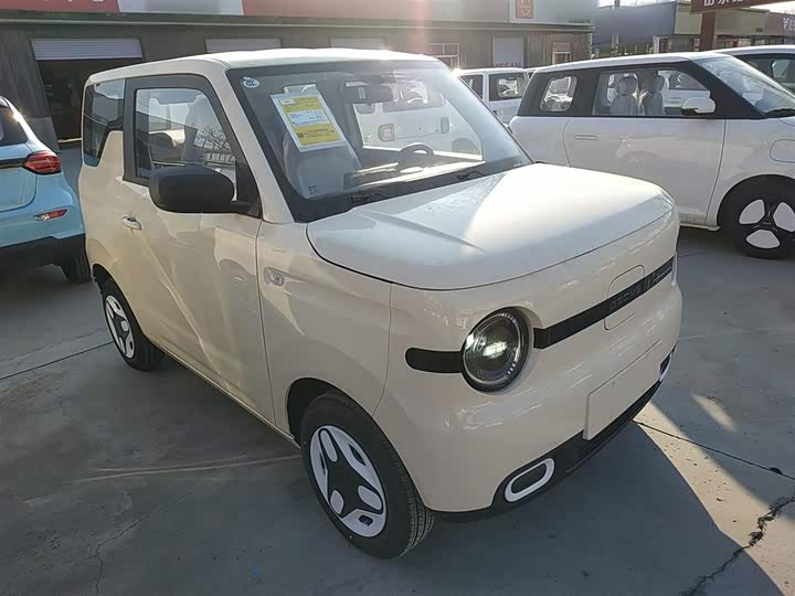 Фото 4 - Geely Galaxy Panda Mini