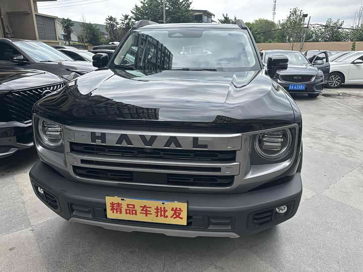 Фото 2 - Haval Dargo