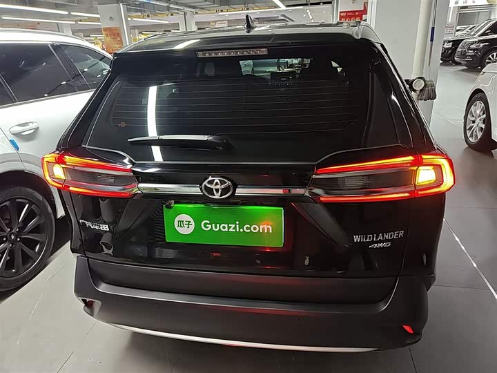 Фото 6 - Toyota Wildlander