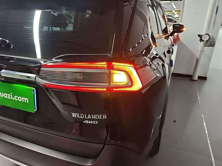 Фото 8 - Toyota Wildlander