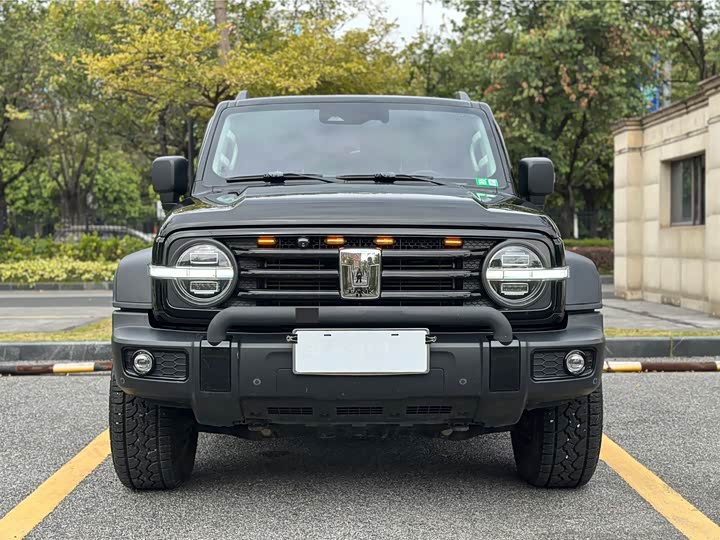 Фото 1 - Tank 300